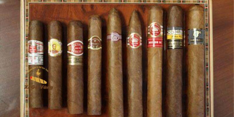 Việc tặng xì gà Cuba cần đúng đối tượng.